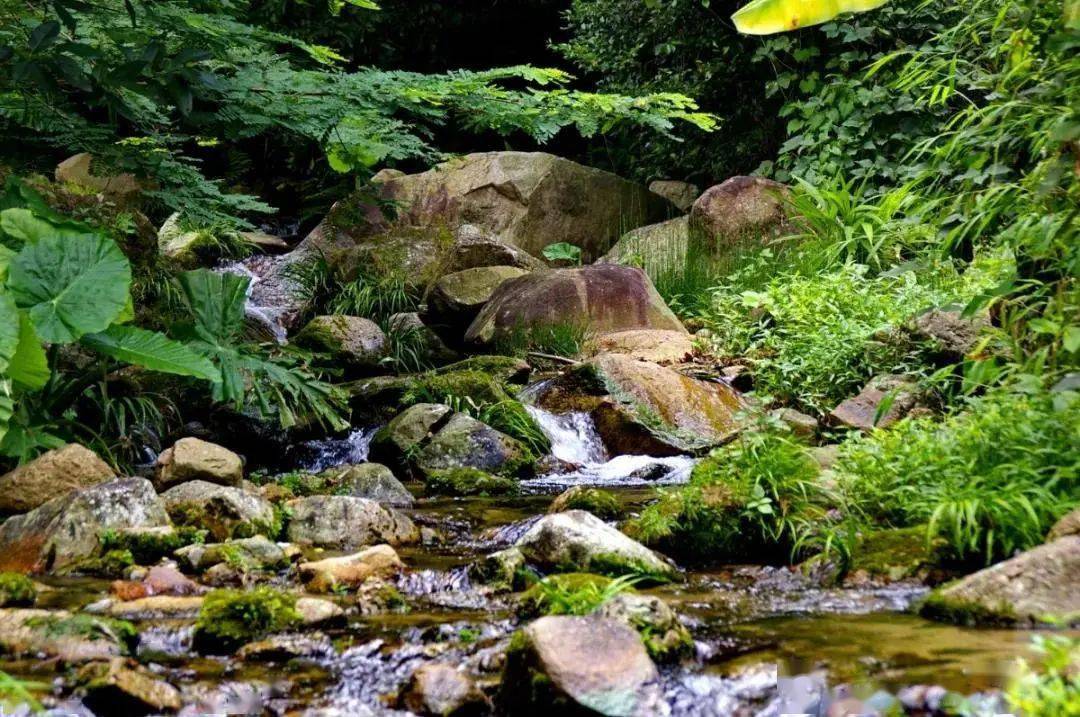 来到南平,漫步凤溪,登顶凤凰山 深入,或是眺出,皆是大好风景.