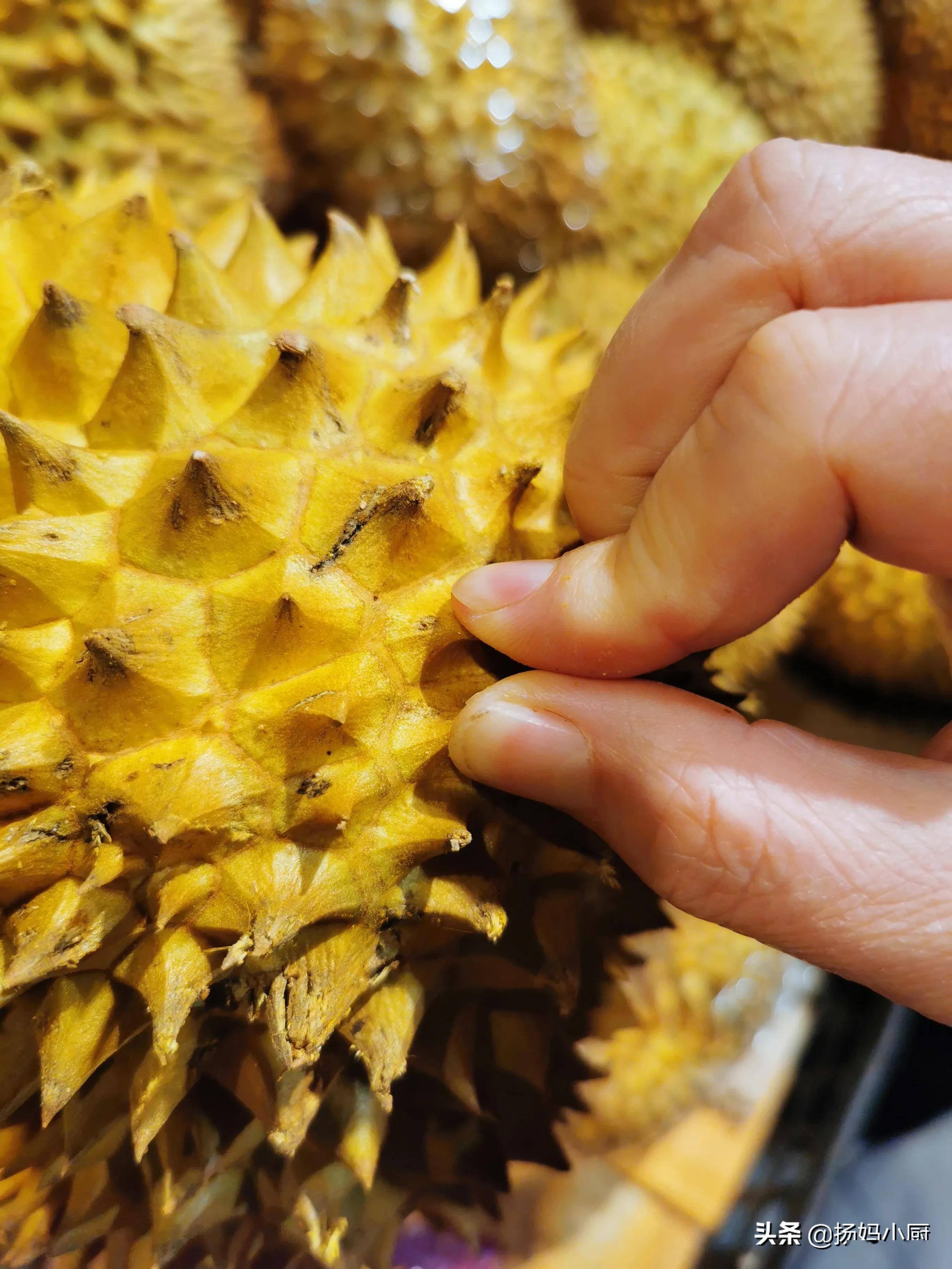 榴莲也分公母教你3个挑选技巧买到的榴莲肉多饱满太实用了