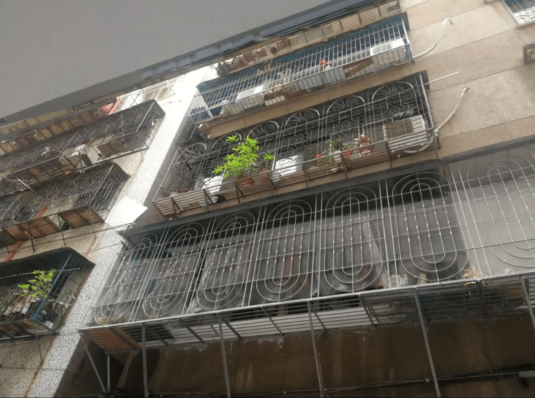 龙湖村这波操作大了