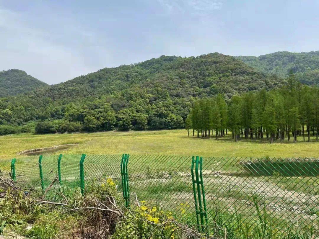 洪流像脱缰的野马！管道清洗(2)