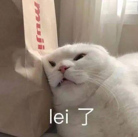 蛋蛋|喵生太艰难，猫：我受不了这委屈！