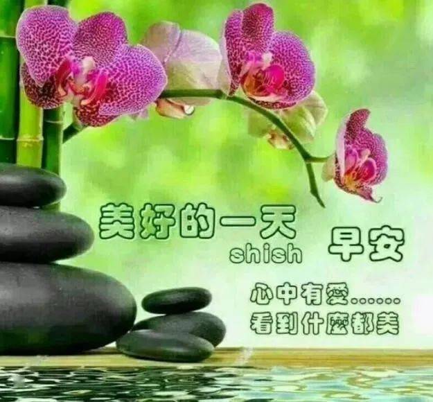 聊天不用打字的祝福图片,人生在世,心境好,一切都好!_问候