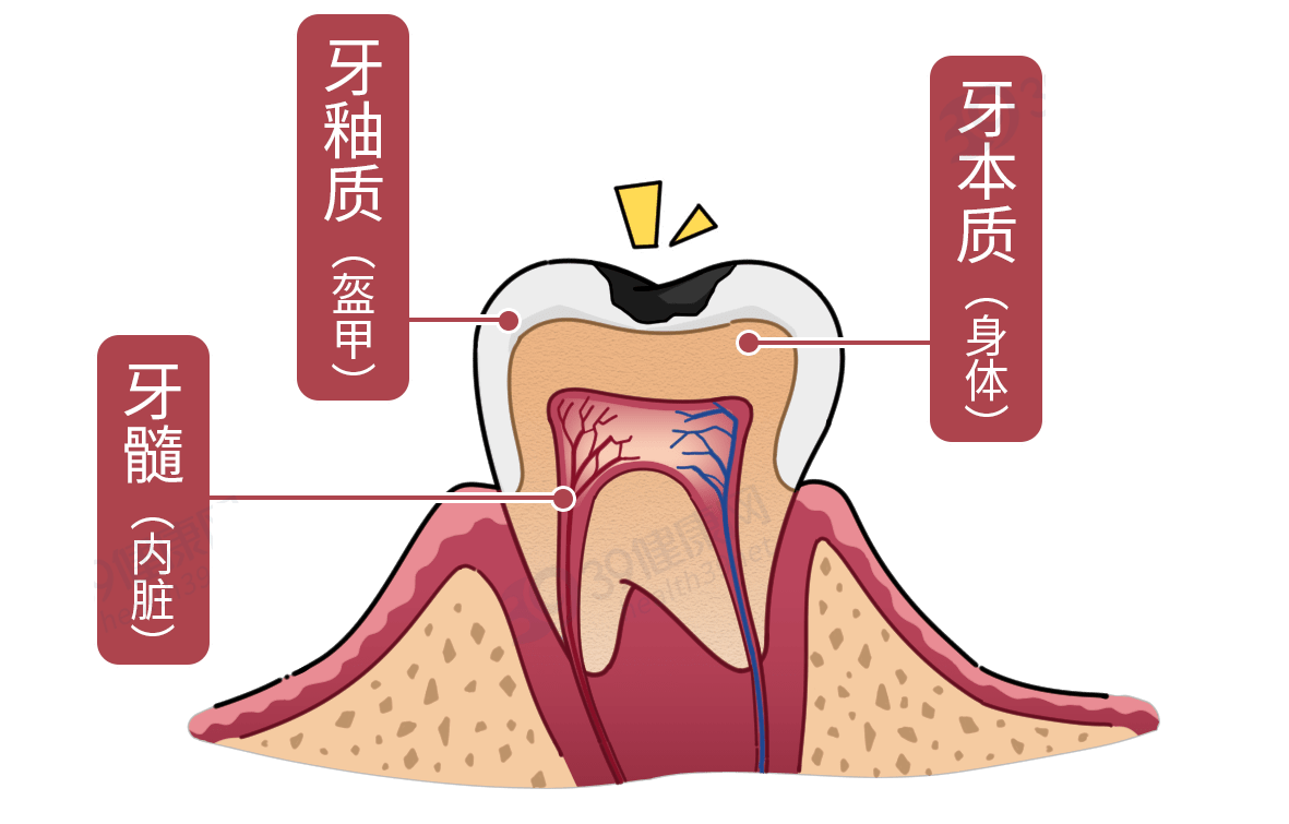 如何護理牙齒讓口腔更健康記下3個護牙小方法老了不掉牙