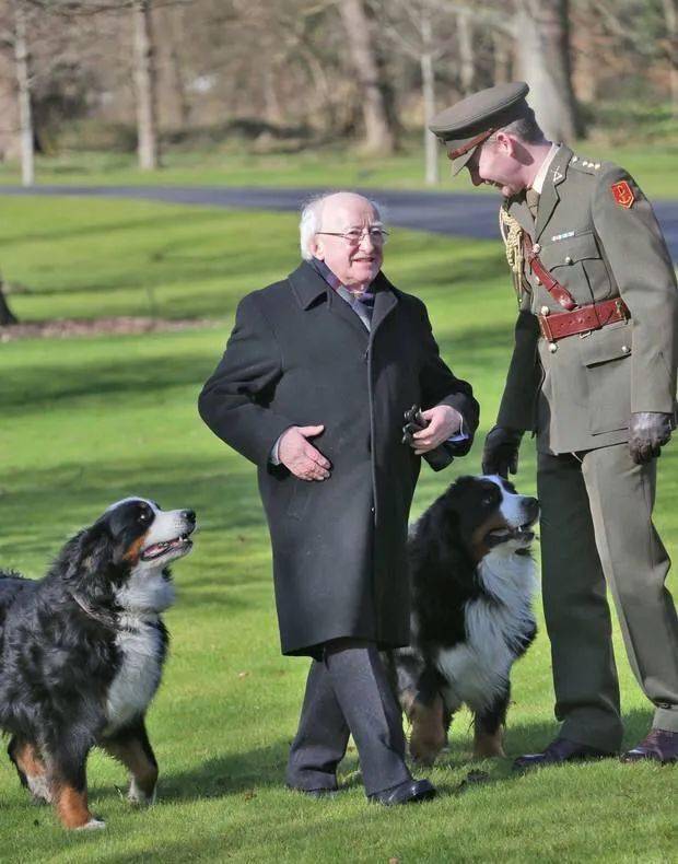 爱尔兰总统接受采访时身旁大狗子疯狂撒娇抢镜网友都被萌晕了