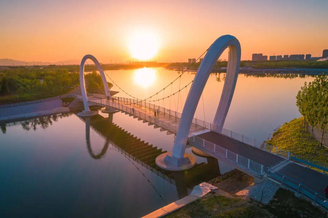 淄博台州网站建设_(淄博市建设工程招标网)