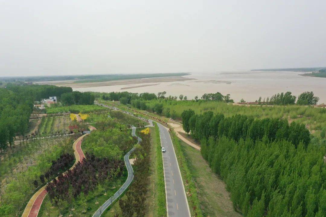 示范带以外的开封段黄河大堤生态廊道,则做好现有林带的断档补植和低