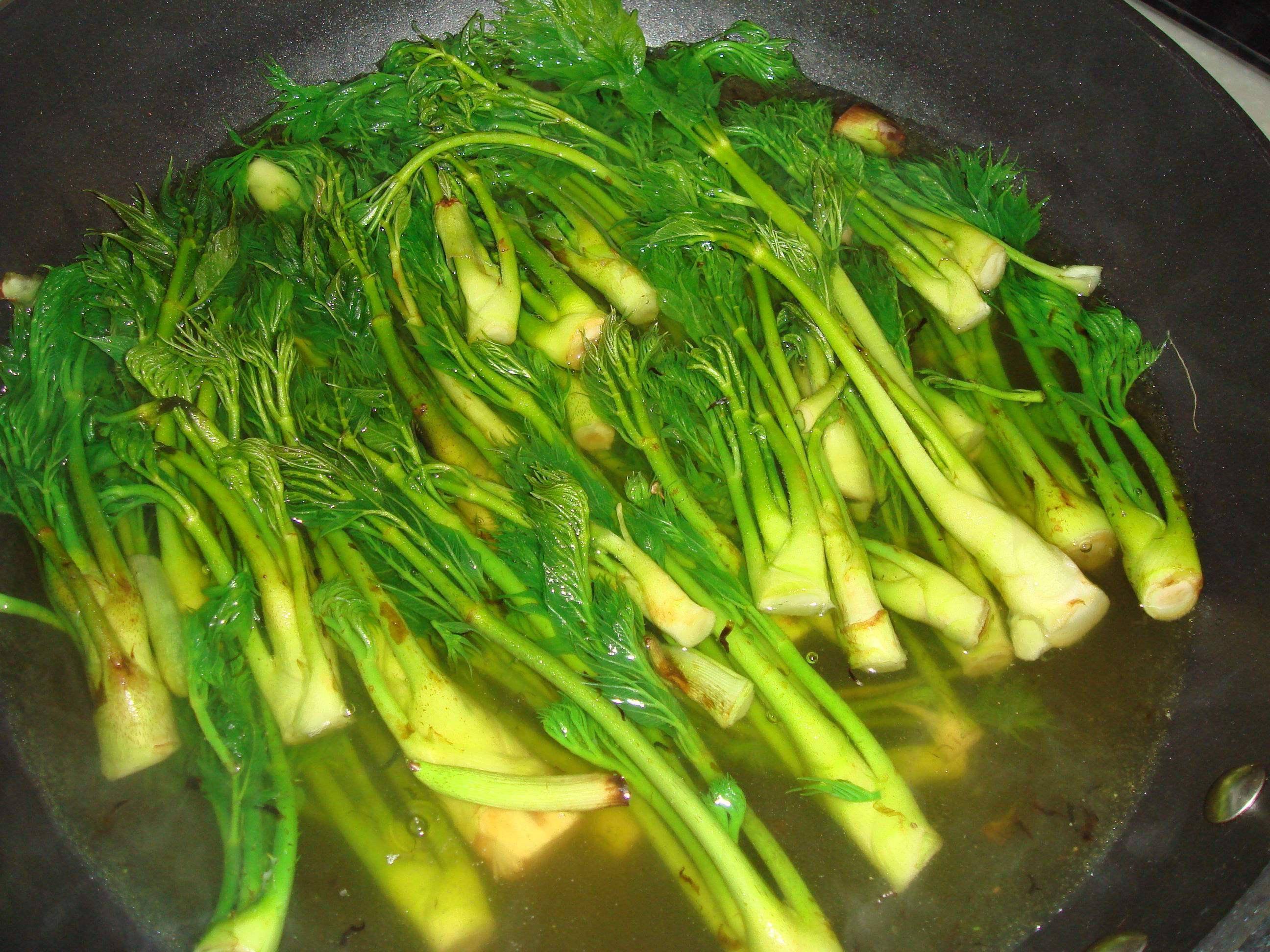 比如说今天我们要介绍的"刺嫩芽",山里人又称它为刺老芽,鹊不踏等.