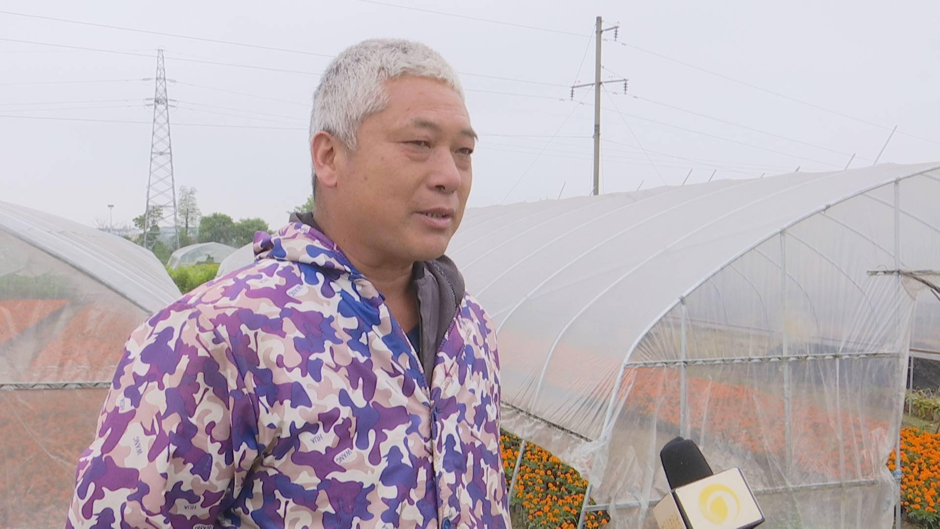 乡村振兴进行时南昌县广福镇北头村强化产业带动助推乡村振兴