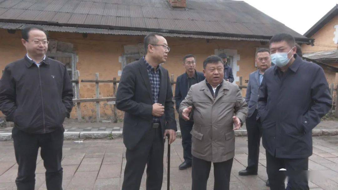 风情小镇改造提升项目现场调研,市委常委,宣传部部长邹怀武,副市长,市