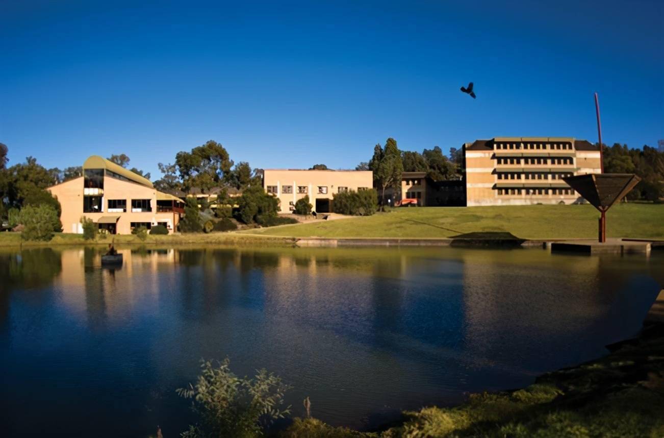 查尔斯特大学什么专业最好