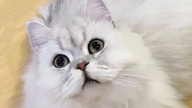 b78610db27914900a087161be100c6ab.jpeg