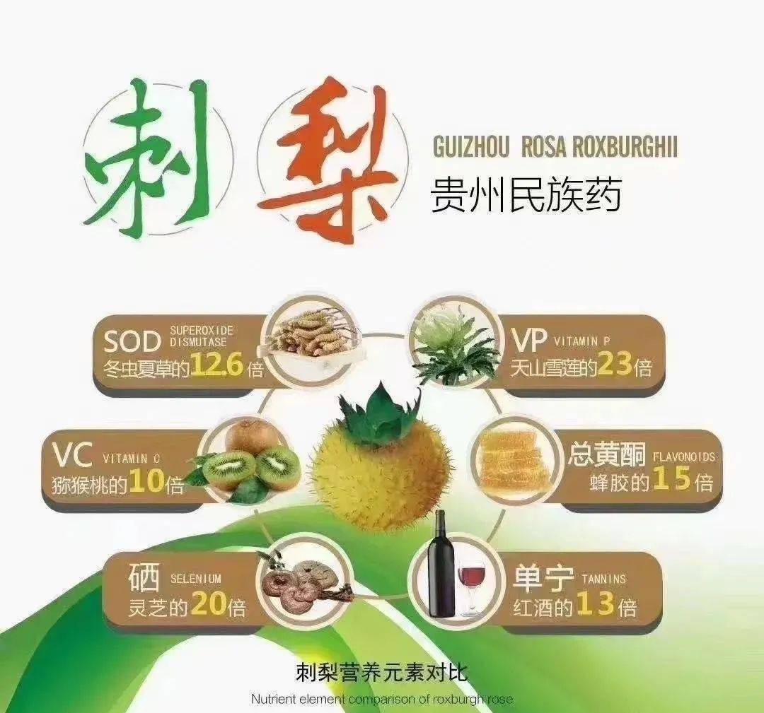 刺梨酵素中的維生素c是如何增強免疫力的