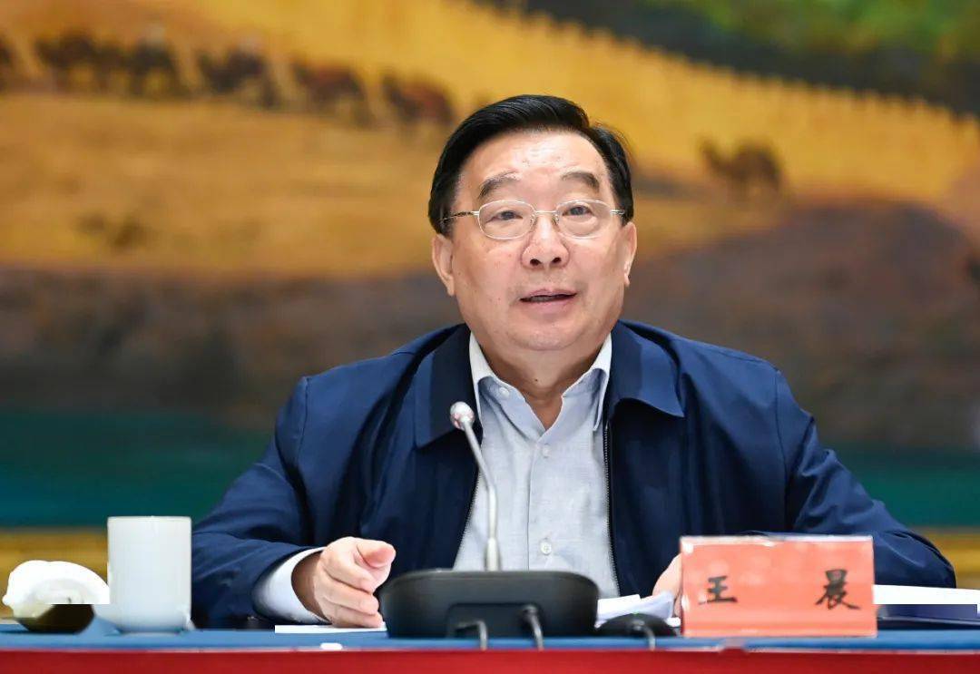 王晨推动中医药事业发展振兴在健康中国建设中发挥更大作用