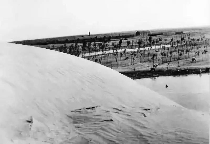 学党史强信念跟党走把我运回兰考埋在沙堆上他走后数万群众自发送行