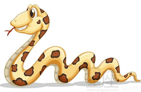 蛇属相和什么属相配最好呢 d3470a1519694cd48209502c5044d680.png