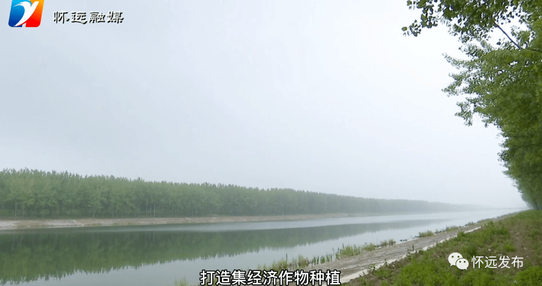 怀远县魏庄镇党委书记 杨杰