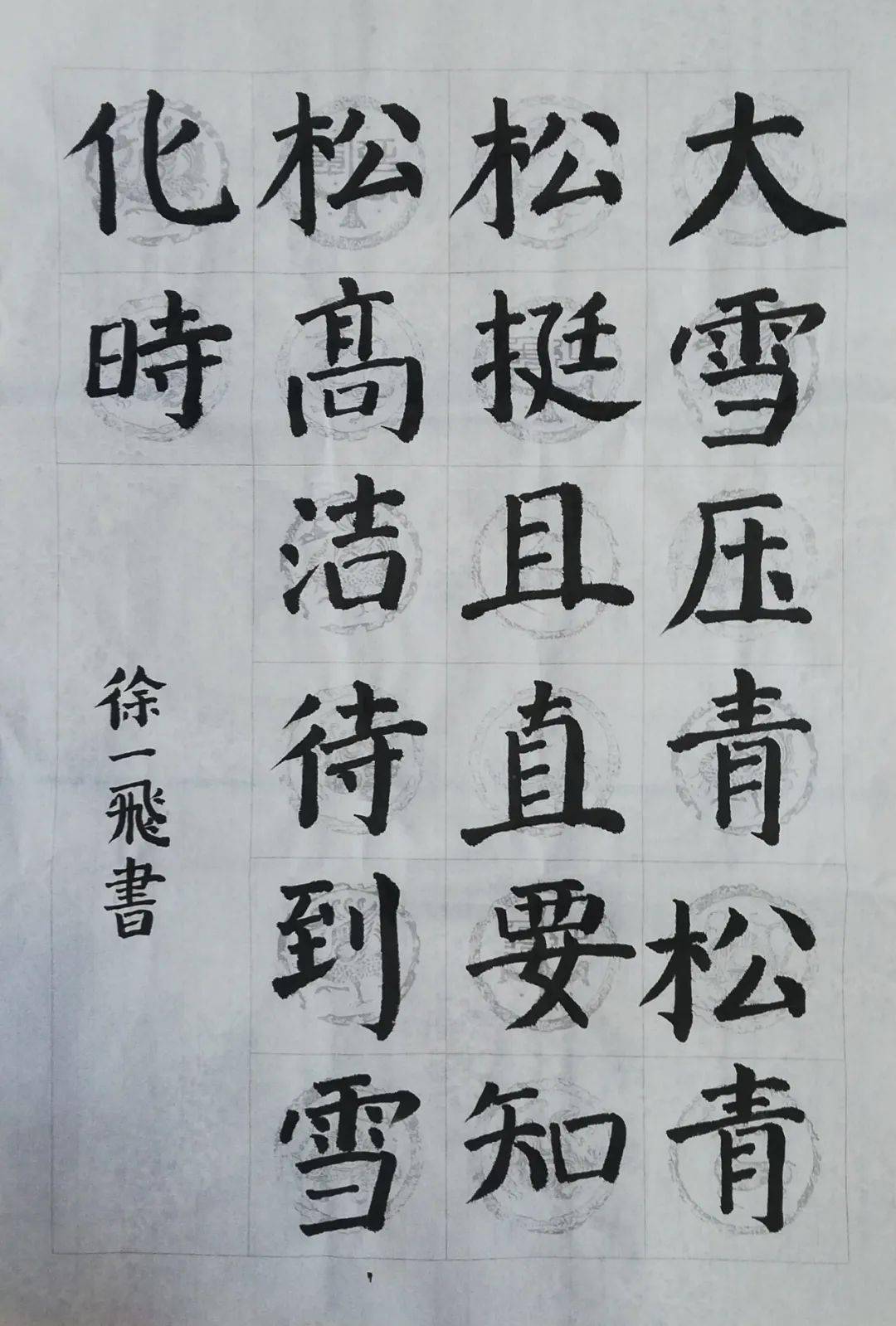 大雪压青松,青 松