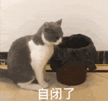 e5d3d34e7fe445dca8dbab9de7942534.gif