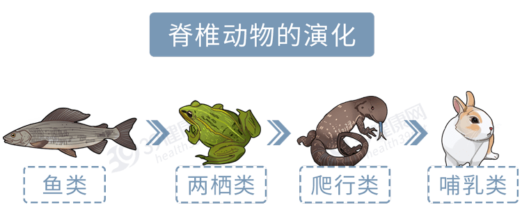 e8c8639aa1c6450194dea67dd5b81405.png