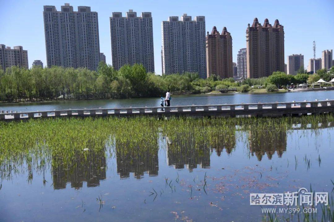 最美画卷看这里哈尔滨市群力4个公园水系陆续注水碧波荡漾