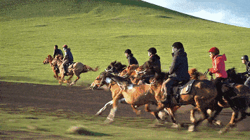 一生必去的呼伦贝尔大草原夏季限定上线一起骑马吗