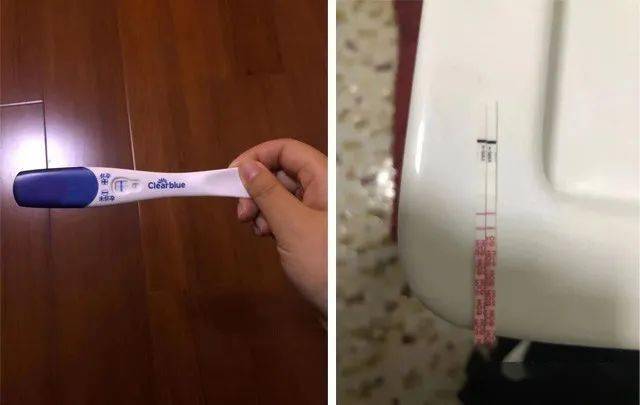 试孕以后的石女士经验孕棒和验孕试纸提示双杠,被确认为成功怀孕了!
