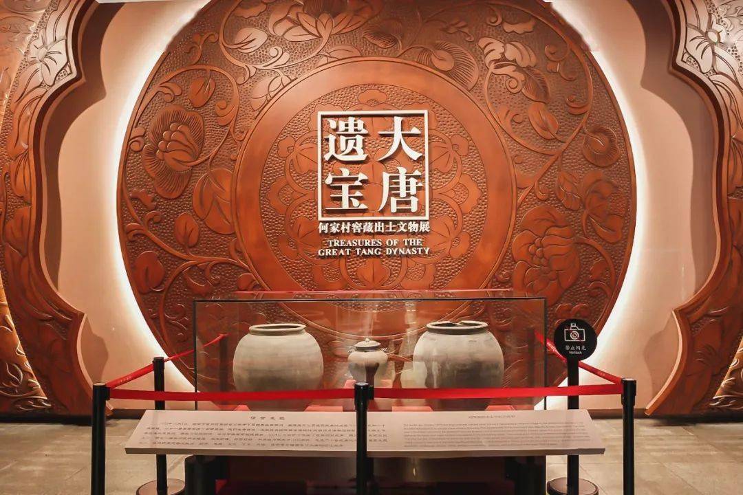 为了这一次的相逢,它准备了一千年