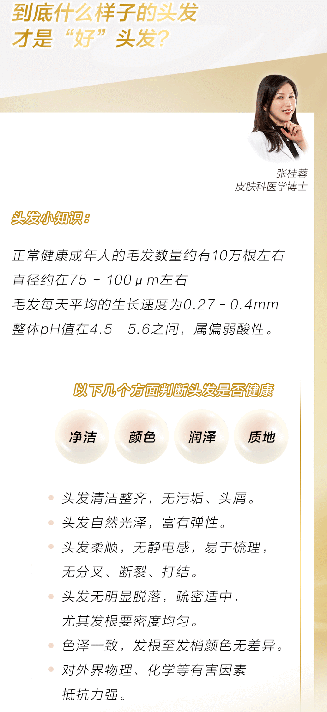 怎样才可以快速修完大学学分 8f3ee305e5734586b4be1c9354a97a2b.png