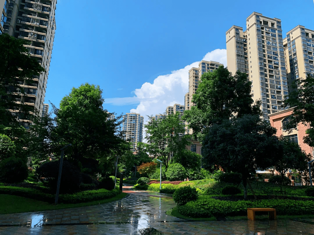 金河湾1881藏不住了不是每个小区都有这样的雨后景色
