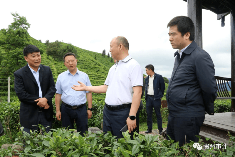 扎实开展党史学习教育奋力推进审计事业高质量发展为全