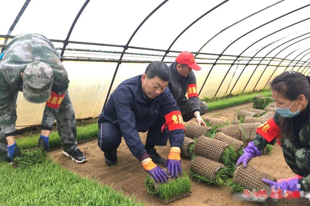 针对今年种植户用工难,雇工贵的实际,连日来,名山农场有限公司党员