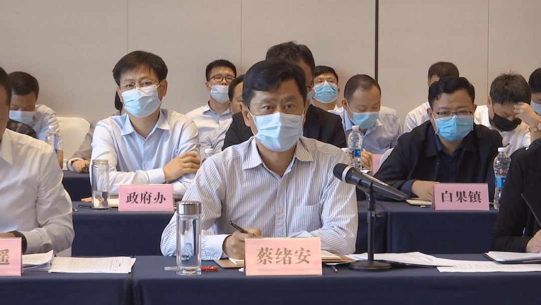 市长蔡绪安汇报了麻城相关工作进展情况.