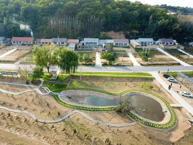 果园大能量众筹致富产业旺东丰县南屯基镇榆林村党支部领办合作社掠影