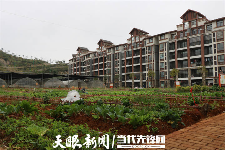 【我的扶贫故事】坚持就能看到胜利的曙光丨兴仁市巴铃镇中心卫生院