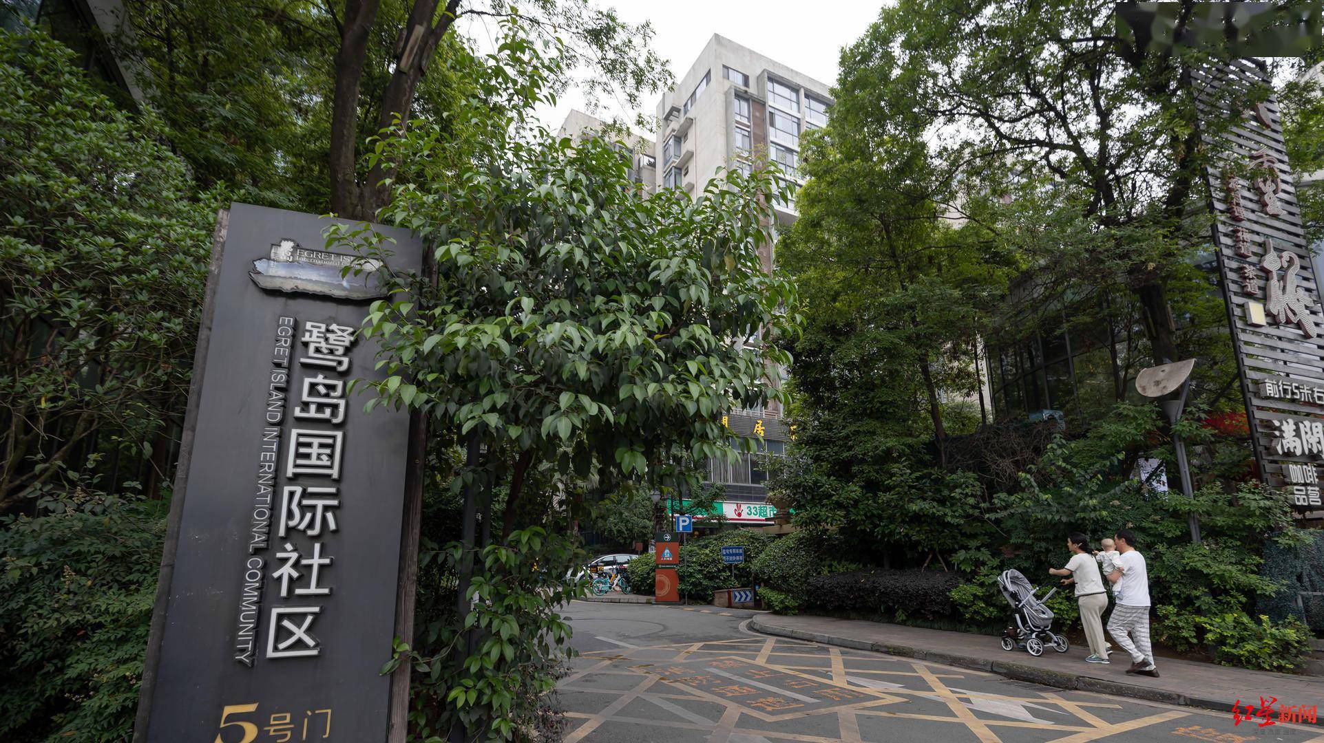 鹭岛国际社区 夜鹭现身小区 在闹市中享受野趣 5月14日早上七点半