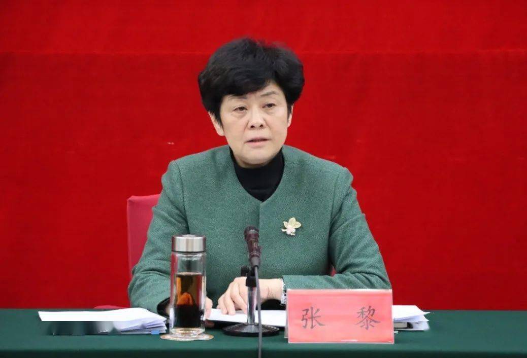 副省长,省文明委副主任张黎出席会议并讲话.