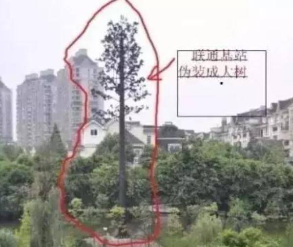 上海|5G基站有害健康？“伪装者”基·72变·站 表示委屈