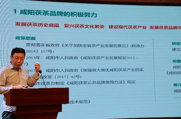 布瑞克(苏州)农业互联网股份公司董事长孙彤一行还考察了泾渭茯茶博物