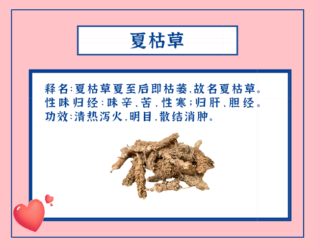 520,以中藥之名錶白!