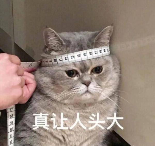 接口|注意！微信将停止这项服务