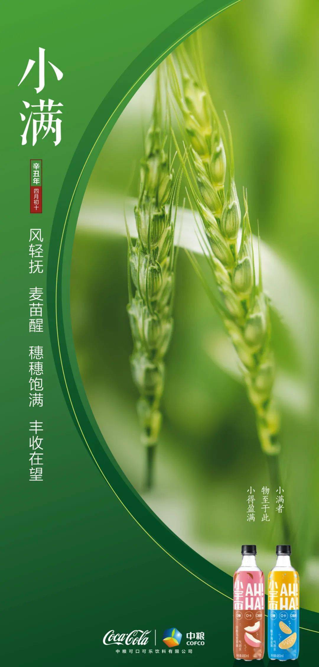 小满| 风轻抚 麦苗醒