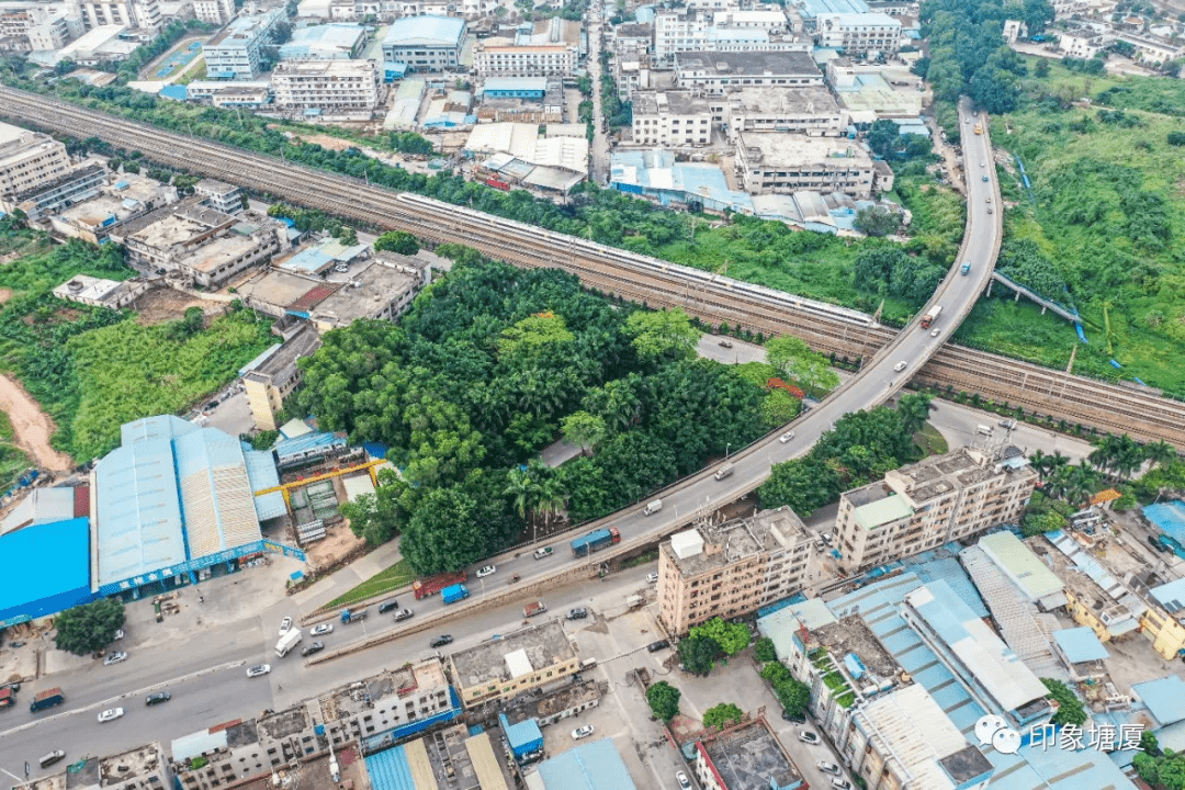 重磅!双向6车道,塘厦镇中心区两条道路升级改造