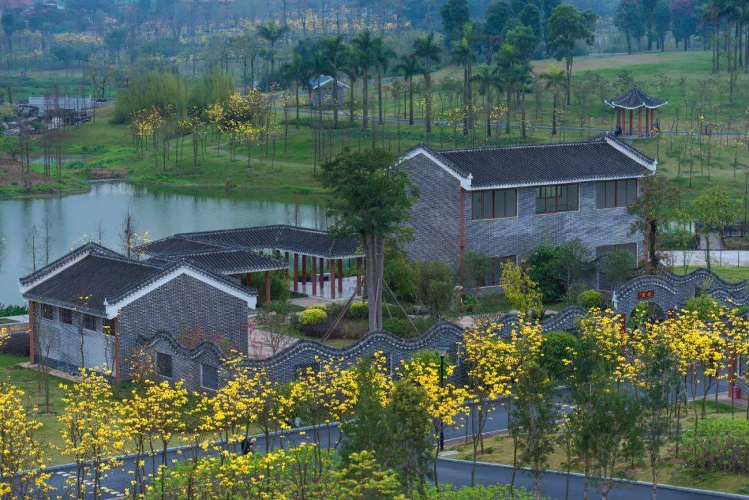 南宁江南区人人尽说江南好游人惟愿江南老