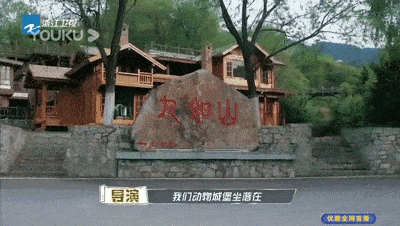 他们要去"动物城堡"接下来,"梅花鹿"唤醒同伴之后,近日,山东博物馆传