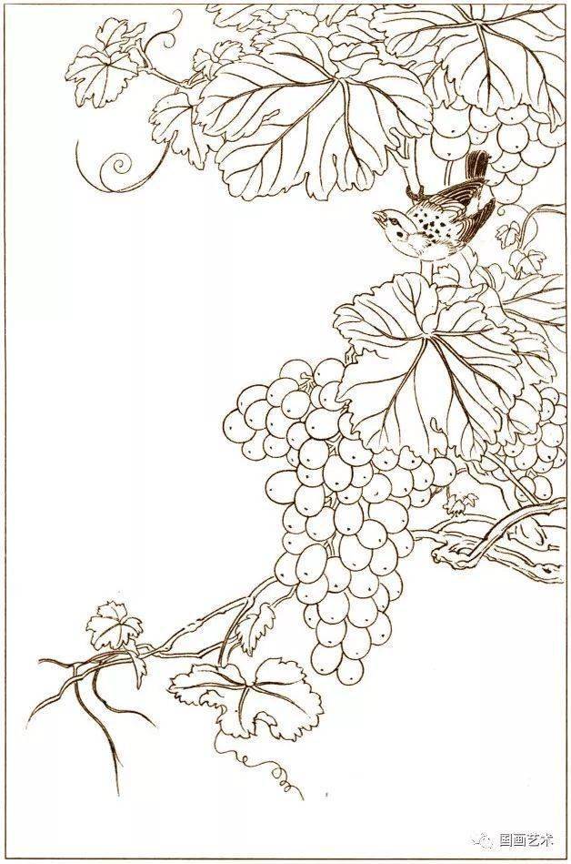 小鸡小鸡的曲谱_小鸡卡通图片(2)
