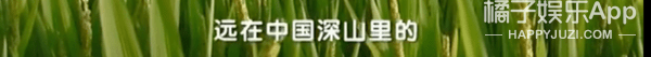 原创
这份伟大无需多言!回忆关于袁老的34件小事,愿最亲切的您晚安