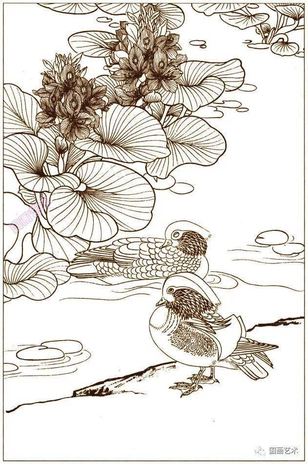 花鳥魚蟲白描畫譜4