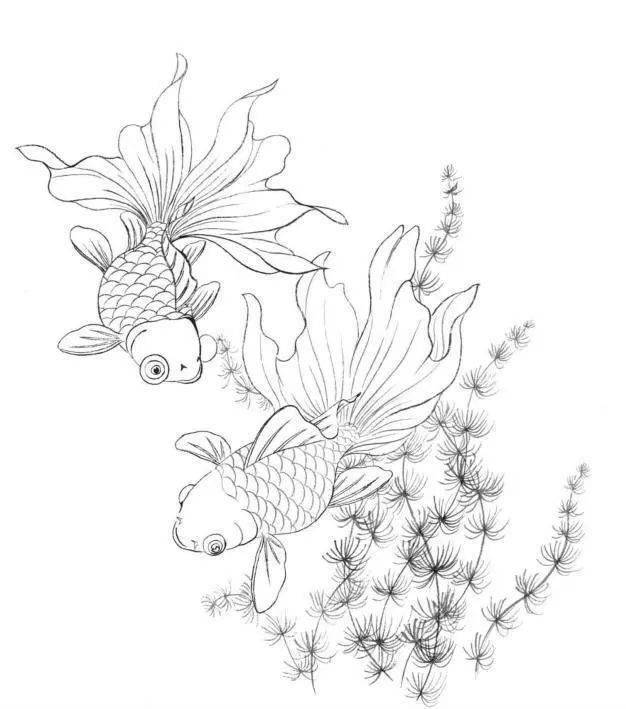 工笔画《鱼戏图》绘制分染全过程,你学会了吗?_金鱼