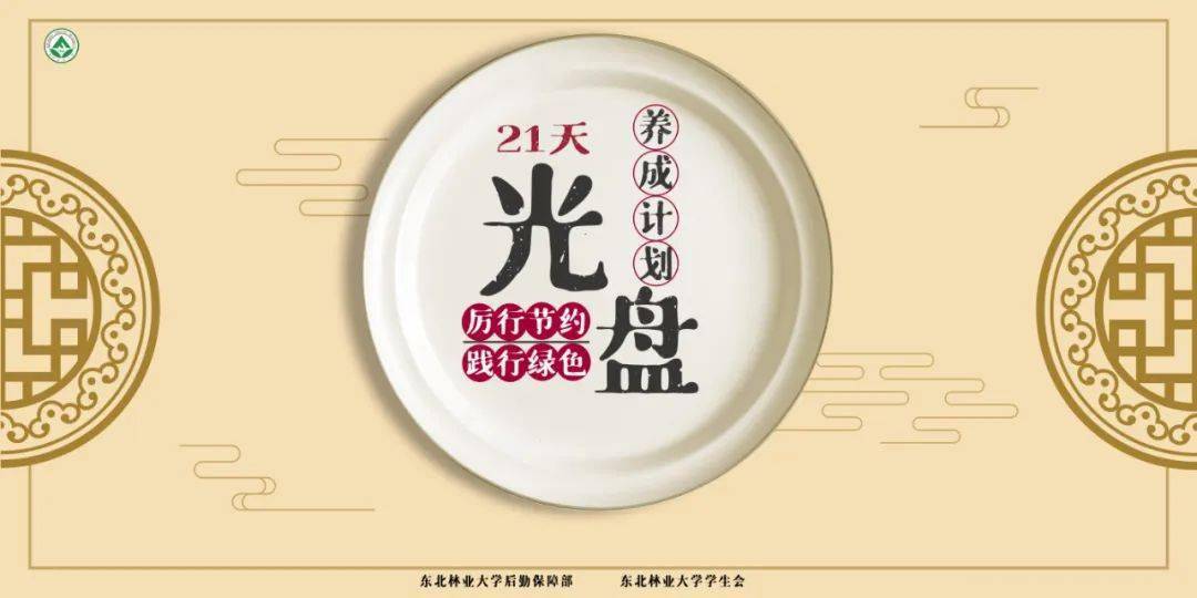 21天光盘养成计划③这次加量又加价