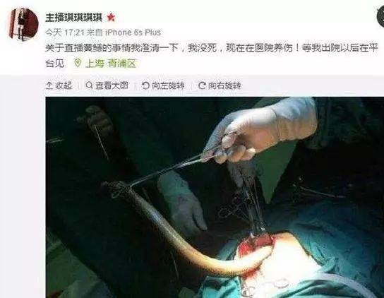 而后来的后来,根据媒体报道,这个造成恶劣社会影响的"黄鳝门"女主播